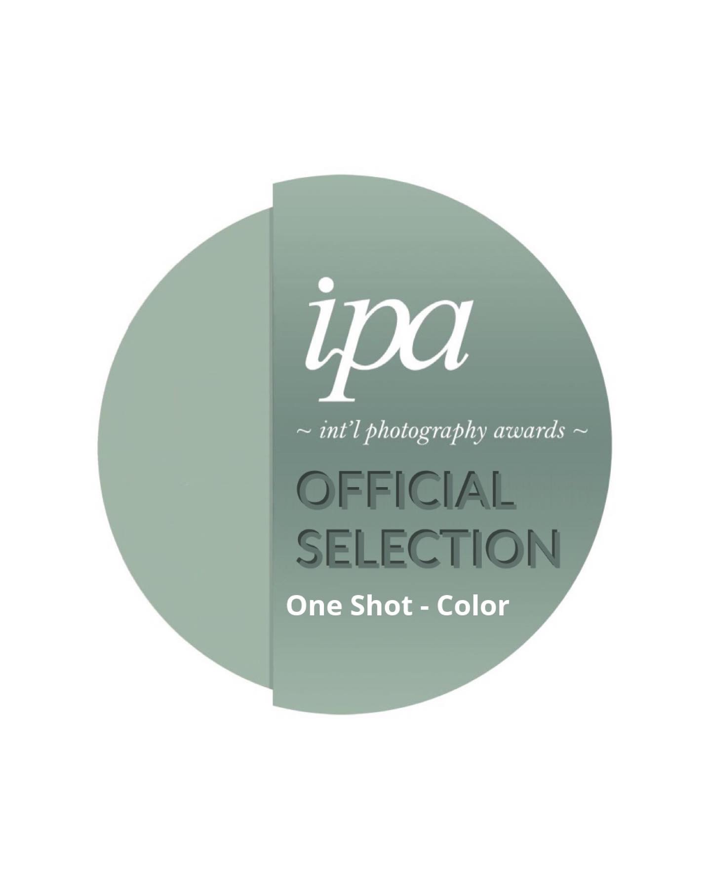 2022 IPA International Photography Awards One Shot — Official Selection