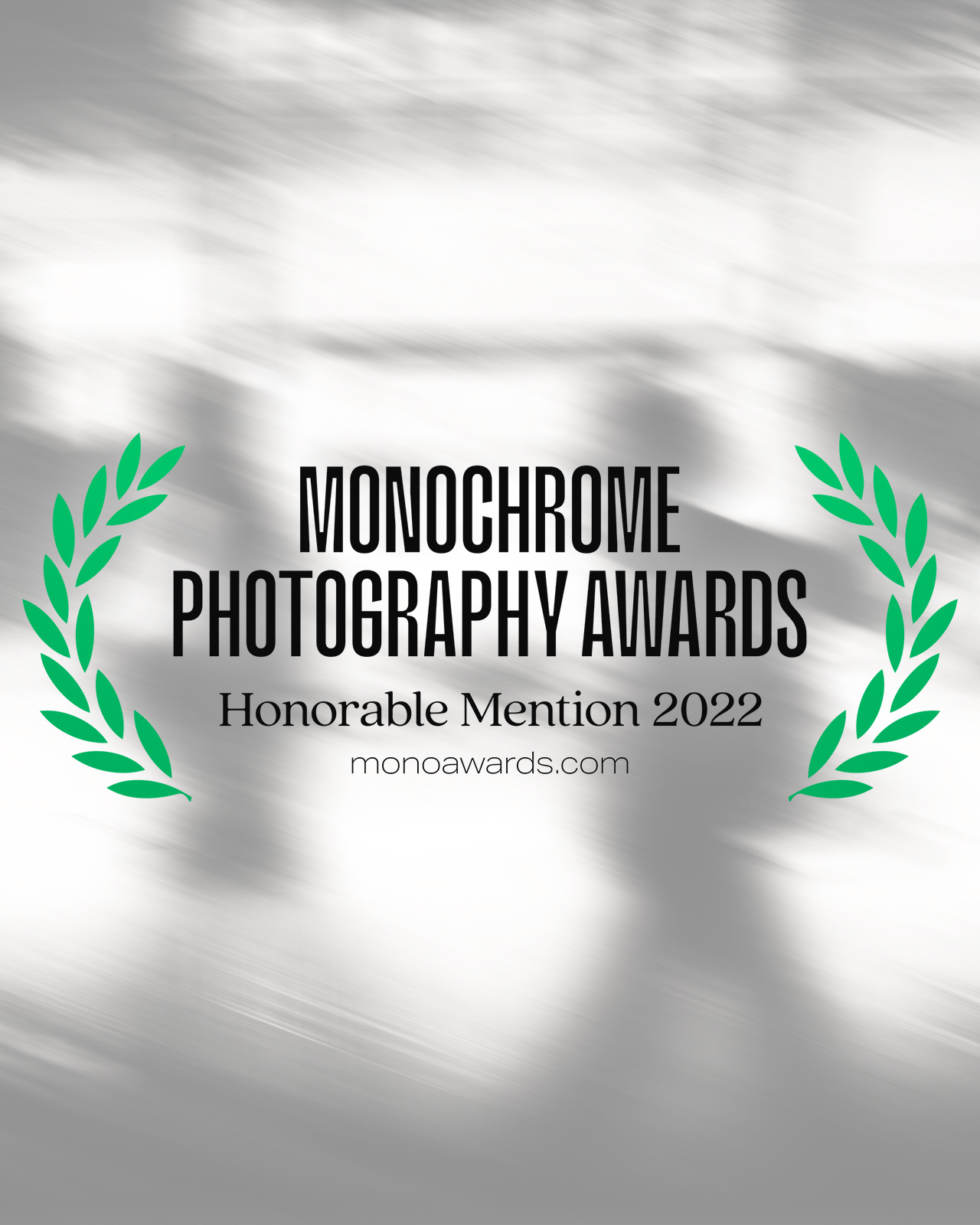 2022 Monochrome Photography Awards國際單色攝影獎 — 職業組 5 Honorable Mention